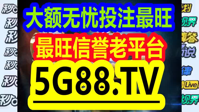 管家婆一码中一肖2024，综合解答解释落实_l8170.60.34