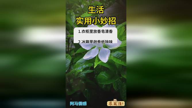 小沐生活小妙招，日常生活中的奇思妙想与实用技巧分享