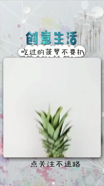 生活小技巧揭秘，菠萝的魅力与应用